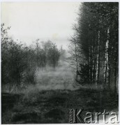 Brak daty, Grobka, Polska.
Okolice domu wynajmowanego przez Irenę Jarosińską.
Fot. Irena Jarosińska, zbiory Ośrodka KARTA