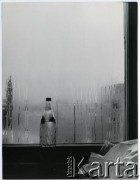Brak daty, Warszawa-Wola, Polska.
Widok z okna mieszkania Ireny Jarosińskiej przy ul. Smoczej 20a w stronę ul. Anielewicza.
Fot. Irena Jarosińska, zbiory Ośrodka KARTA