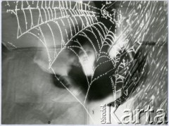 Brak daty, Polska.
Fotomontaż.
Fot. Irena Jarosińska, zbiory Ośrodka KARTA