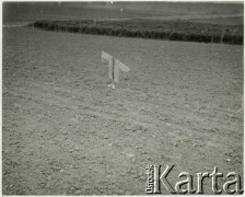 Brak daty, Polska.
Strach na wróble na polu.
Fot. Irena Jarosińska, zbiory Ośrodka KARTA