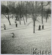 Lata 50., Warszawa, Polska.
Park Praski zimą, po lewej z sankami syn fotografki Marek Jarosiński.
Fot. Irena Jarosińska, zbiory Ośrodka KARTA