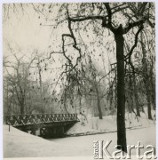 Brak daty, Warszawa, Polska.
Park zimą.
Fot. Irena Jarosińska, zbiory Ośrodka KARTA