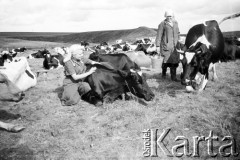 1955-1956, Workuta, Komi ASRR, ZSRR.
Wycieczka Polaków przebywających na zesłaniu. Na zdjęciu Czesława Cydzik (z domu Hnatów).
Fot. Eugeniusz Cydzik, udostępnił Eugeniusz Cydzik w ramach projektu 