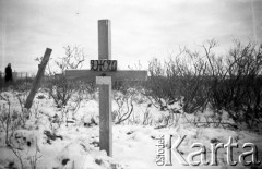 1955-1957, Workuta, Komi ASRR, ZSRR.
Mogiła zesłańca w tundrze.
Fot. Eugeniusz Cydzik, udostępnił Eugeniusz Cydzik w ramach projektu 