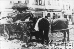 Po 1945, Zgorzelec (Gorlitz), Polska.
Wozy uciekinierów na Rynku miasta.
Fot. NN, z dziennika dr Franciszka Scholza, udostępniła Elżbieta Buława.
