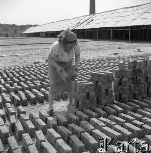 Maj 1958, Piaseczno, woj. Warszawa, Polska.
Pracownica cegielni układa cegły do suszenia.
Fot. Romuald Broniarek, zbiory Ośrodka KARTA