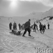 Luty 1957, Zakopane, Polska.
Akcja ratunkowa Tatrzańskiego Ochotniczego Pogotowia Ratunkowego - zwożenie rannego z góry.
Fot. Romuald Broniarek, zbiory Ośrodka KARTA