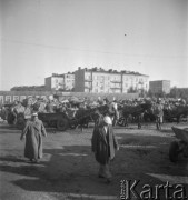 Lipiec 1957, Warszawa, Polska.
Handlarze na targowisku, wozy z warzywami.
Fot. Romuald Broniarek, zbiory Ośrodka KARTA