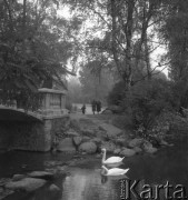 Wrzesień  1957, Warszawa, Polska. 
Warszawiacy na spacerze w Łazienkach, na pierwszym planie dwa łabędzie, z lewej kamienny mostek.
Fot. Romuald Broniarek, zbiory Ośrodka KARTA