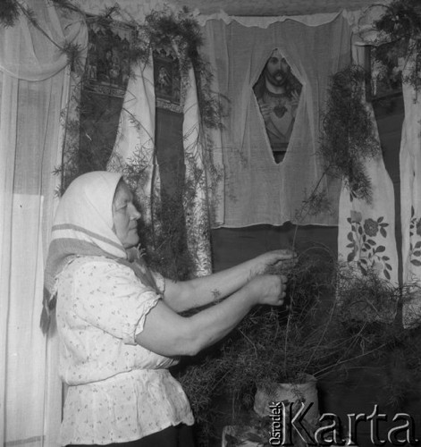 Styczeń 1958, Augustowo, pow. Bielsk-Podlaski, woj. Białystok, Polska.
Kobieta przystraja asparagusem święte obrazy wiszące na ścianach.
Fot. Romuald Broniarek, zbiory Ośrodka KARTA