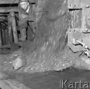 Kwiecień 1958, Wojkowice Komorne, woj. Katowice, Polska.
Kopalnia Węgla Kamiennego 