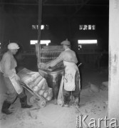 Maj 1958, Wierzbica, pow. Radom, Polska.
Cementownia 