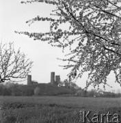 Maj 1958, Czersk, Polska.
Ruiny zamku książąt mazowieckich, na pierwszym planie kwitnące drzewka owocowe.
Fot. Romuald Broniarek, zbiory Ośrodka KARTA