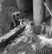 Sierpień 1958, Bieszczady, Polska.
Młodzież z brygady międzynarodowej pracuje przy budowie drogi w Bieszczadach. Na zdjęciu dziewczyna piorąca ubranie w potoku.
Fot. Romuald Broniarek, zbiory Ośrodka KARTA