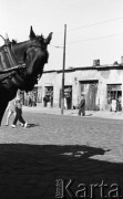 Wrzesień 1958, Warszawa, Polska.
Plac Grzybowski - przechodnie na ulicy, w tle sklepy. Na pierwszym planie łeb konia w uprzęży.
Fot. Romuald Broniarek, zbiory Ośrodka KARTA