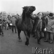 Luty 1975, Nowy Targ, Polska.
Czwartkowy targ w Nowym Targu, mężczyzna oprowadzający konia.
Fot. Romuald Broniarek, zbiory Ośrodka KARTA
 

