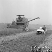 3.08.1976, Płochocin k/Warszawy, Polska.
Żniwa w Państwowym Gospodarstwie Rolnym, kombajn 