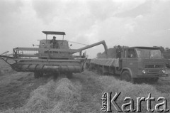 3.08.1976, Płochocin k/Warszawy, Polska.
Żniwa w Państwowym Gospodarstwie Rolnym, zboże sypiące się z kombajnu na przyczepę samochodu ciężarowego.
Fot. Romuald Broniarek/KARTA