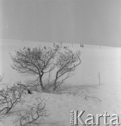 Sierpień 1976, Łeba, Polska.
Turyści na wydmach w okolicach Łeby.
Fot. Romuald Broniarek/KARTA
