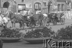 Wrzesień 1976, Warszawa, Polska.
Dorożka na ulicy Freta, na budynku w tle tablica pamiątkowa poświęcona Feliksowi Dzierżyńskiemu, który w roku 1899 przemawiał w domu pod nr 36 na zebraniu robotniczym.
Fot. Romuald Broniarek/KARTA