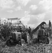 Sierpień 1959, Teresin k/ Warszawy, Polska.
Zbiory kukurydzy wyhodowanej z radzieckich nasion na polach Rolniczej Spółdzielni Produkcyjnej.
Fot. Romuald Broniarek/KARTA