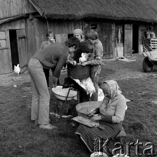 Październik 1981, Wola Osowińska k/Kocka, woj. Lublin, Polska.
Rodzina podczas szatkowania kapusty.
Fot. Romuald Broniarek/KARTA