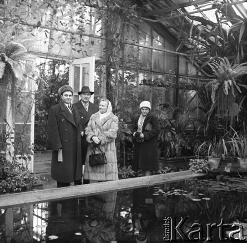 Styczeń 1960, Poznań, Polska.
VI Krajowy Zjazd TPPR, radziecka delegacja zwiedza poznańską Palmiarnię.
Fot. Romuald Broniarek/KARTA