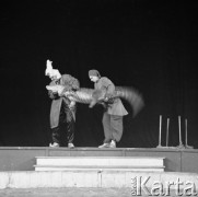 Luty 1960, Warszawa, Polska.
Występy cyrku 