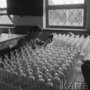 Sierpień 1961, Krosno, Polska. 
Pracownik Huty Szkła ogląda karafki stojące na stole.
Fot. Romuald Broniarek/KARTA 
