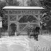 Grudzień 1962, Białowieża, Polska.
Sanie przed bramą Białowieskiego Parku Narodowego.
Fot. Romuald Broniarek/KARTA