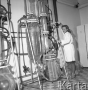 1964, Warszawa Tarchomin, Polska.
Produkcja leków w Zakładach Farmaceutycznych 