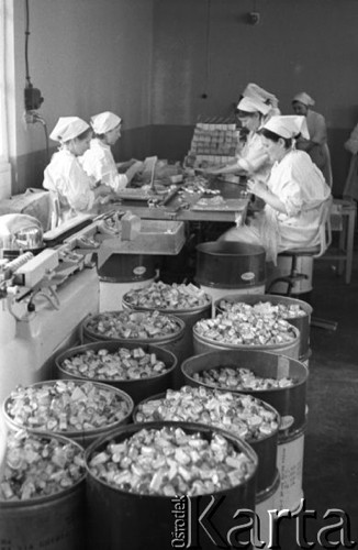 1964, Warszawa Tarchomin, Polska.
Produkcja leków w Zakładach Farmaceutycznych 