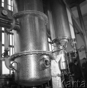 Grudzień 1964, Warka, Polska.
Wytwórnia win i koncentratów owocowych.
Fot. Romuald Broniarek/KARTA
