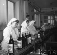 Grudzień 1964, Warka, Polska.
Taśma produkcyjna w wytwórni win i koncentratów owocowych.
Fot. Romuald Broniarek/KARTA