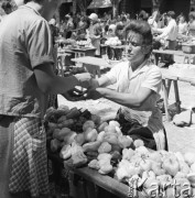Sierpień 1967, Jugosławia
Stragan z papryką na targowisku.
Fot. Romuald Broniarek/KARTA
