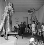 26.06.1968, Warszawa, Polska.
Wystawa 