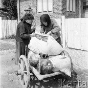 1968, Bułgaria.
Dwie kobiety i mężczyzna przy wózku z dyniami.
Fot. Romuald Broniarek/KARTA