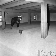 1968, Leszno k/Warszawy, Polska.
Mężczyzna w magazynie zbożowym Państwowego Gospodarstwa Rolnego.
Fot. Romuald Broniarek/KARTA