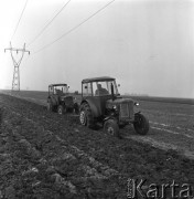 1968, Leszno k/Warszawy, Polska.
Jesienne prace na polach Państwowego Gospodarstwa Rolnego - traktory podczas orki.
Fot. Romuald Broniarek/KARTA