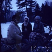 1971, Białowieża, Polska.
Sanie.
Fot. Romuald Broniarek, zbiory Ośrodka KARTA