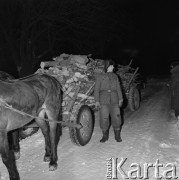 1971, Białowieża, Polska.
Wóz.
Fot. Romuald Broniarek, zbiory Ośrodka KARTA