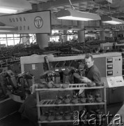 1971, Nowy Targ, Polska.
Nowotarskie Zakłady Przemysłu Skórzanego „PODHALE