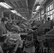 1971, Nowy Targ, Polska.
Nowotarskie Zakłady Przemysłu Skórzanego „PODHALE