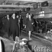 1971, Leszno, Polska.
Aleksiej Szitikow (pierwszy z lewej) - przewodniczący Centralnego Zarządu Towarzystwa Przyjaźni Polsko-Radzieckiej - na terenie PGR-u.
Fot. Romuald Broniarek, zbiory Ośrodka KARTA