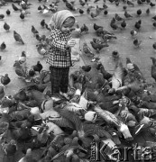 1971, Kraków, Polska.
Rynek Główny.
Fot. Romuald Broniarek, zbiory Ośrodka KARTA