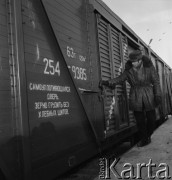 1972, Polska.
Przeładunek zboża z ZSRR.
Fot. Romuald Broniarek, zbiory Ośrodka KARTA