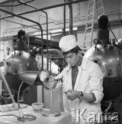 1972, Milejów-Osada, Polska.
Zakład Przetwórstwa Owocowo-Warzywnego.
Fot. Romuald Broniarek, zbiory Ośrodka KARTA
