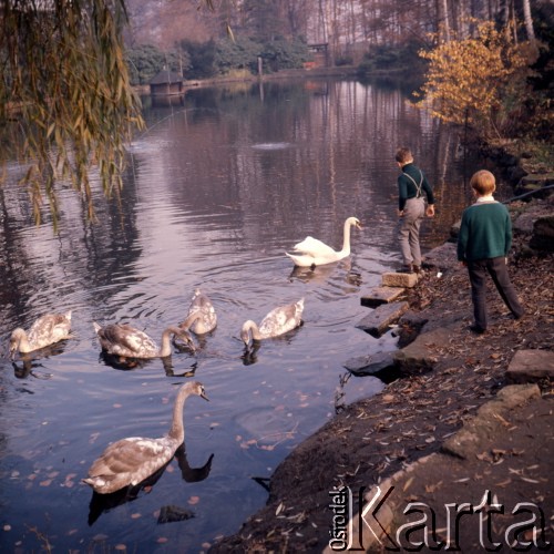 1972, Wernigerode, NRD.
Staw.
Fot. Romuald Broniarek, zbiory Ośrodka KARTA