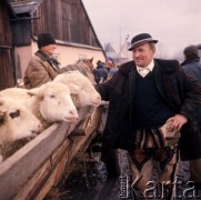 1972, Nowy Targ, Polska.
Jarmark.
Fot. Romuald Broniarek, zbiory Ośrodka KARTA