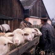 1972, Nowy Targ, Polska.
Jarmark.
Fot. Romuald Broniarek, zbiory Ośrodka KARTA